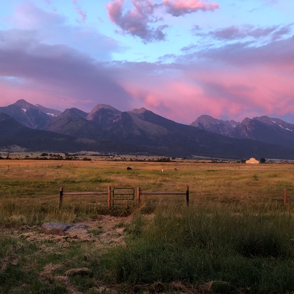 Meet your Posher, Ruth - Picture 12 of 16